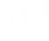 skol casino