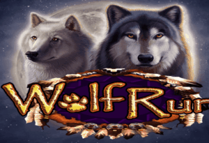 wolf run