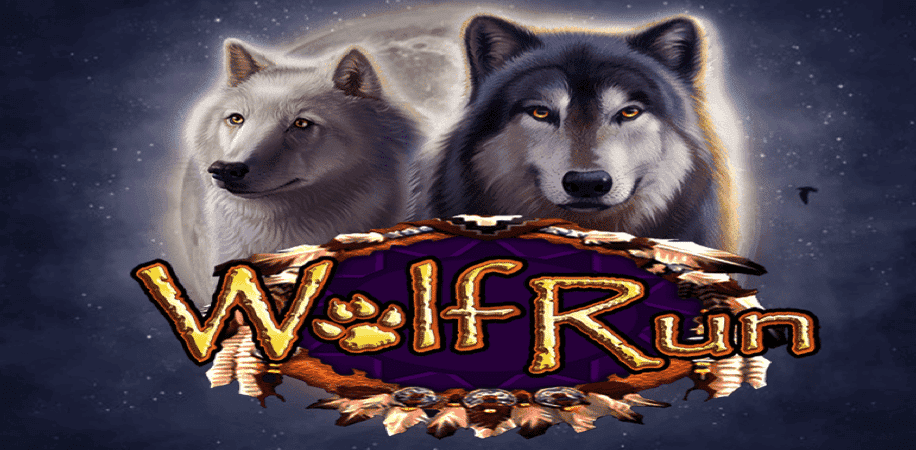 wolf run