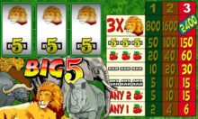 Big 5 Slot Demo » Microgaming