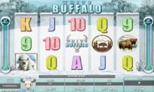 White Buffalo Slot Demo » Microgaming