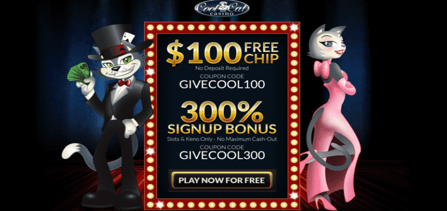 $100 no deposit bonus in cool cat casino