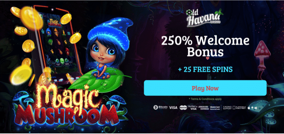 25 free spins on magic mushrooms at old havana