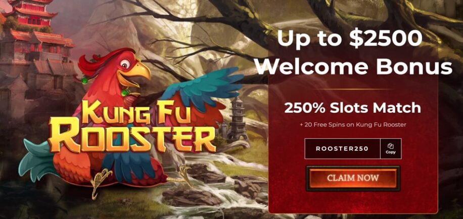 kung fu rooster bonus code