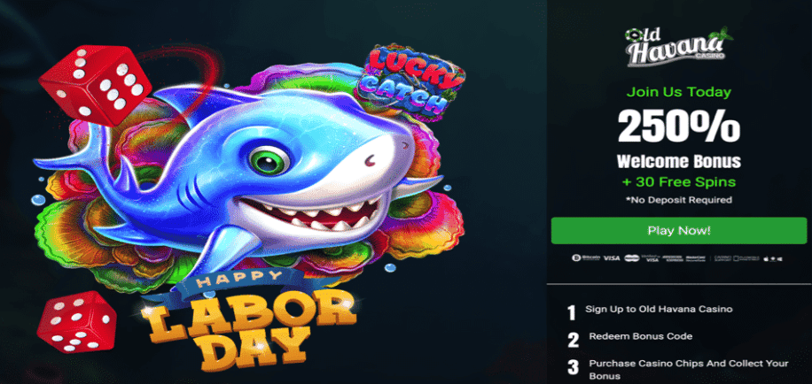 Labor Day's Bonus Code for Lucky Catch slot game