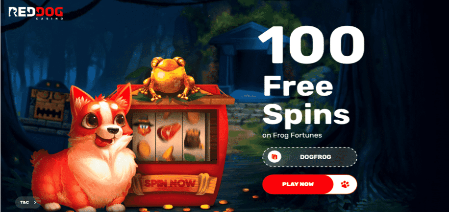 red dog frog fortunes bonus code