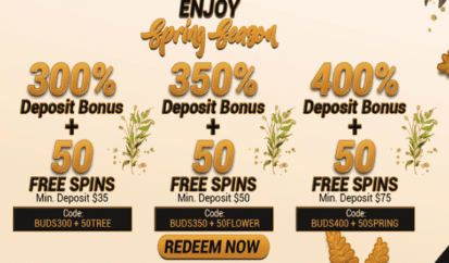 spring slots free spins code at hallmark casino