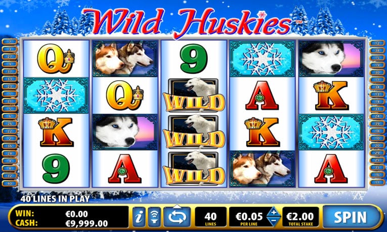 Wild Huskies demo slot