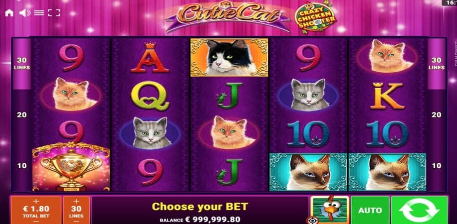 Cutie Cats CCS