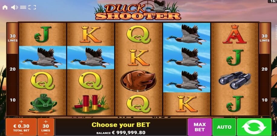Duck Shooter