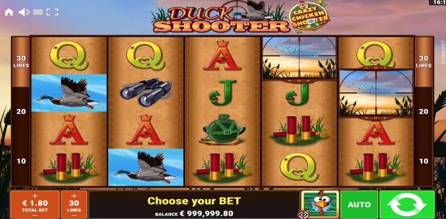 Duck Shooter CCS