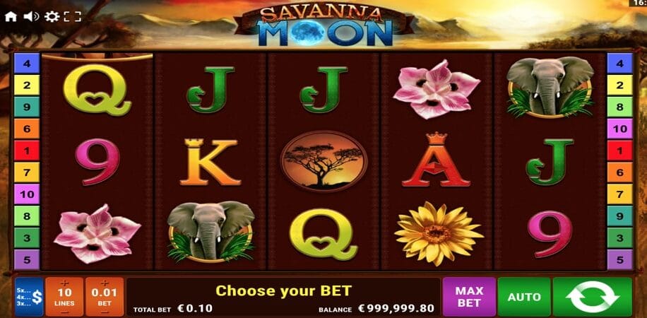 Savanna Moon