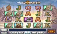 Wild North Slot Game Demo Play » Play’n Go