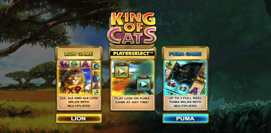 King of Cats