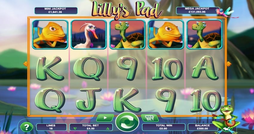Lilly's Pad