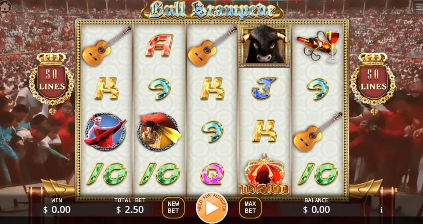 Bull Stampede
