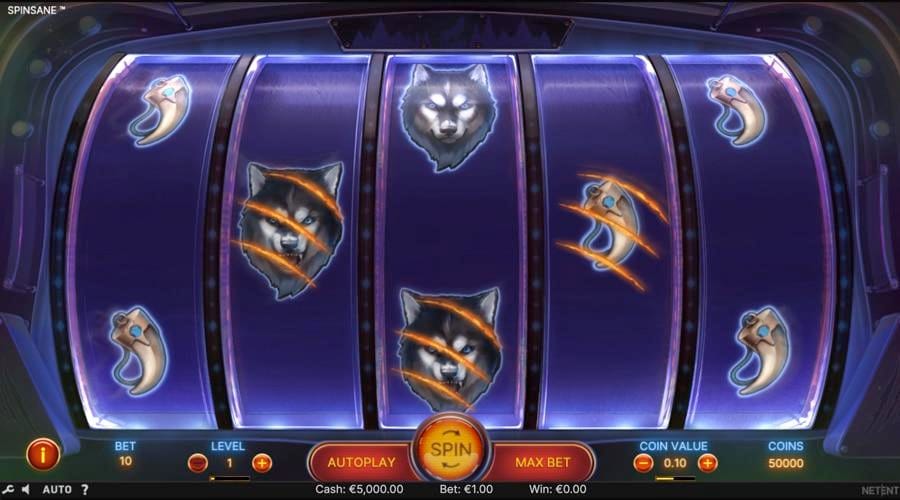 Spinsane video slot