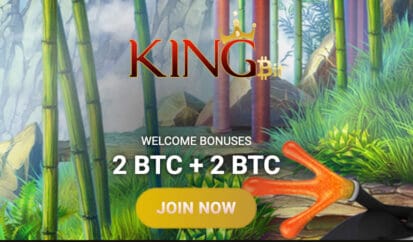 KingBit Welcome Bonus