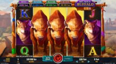 Big Wild Buffalo Demo Slot » Belatra Games