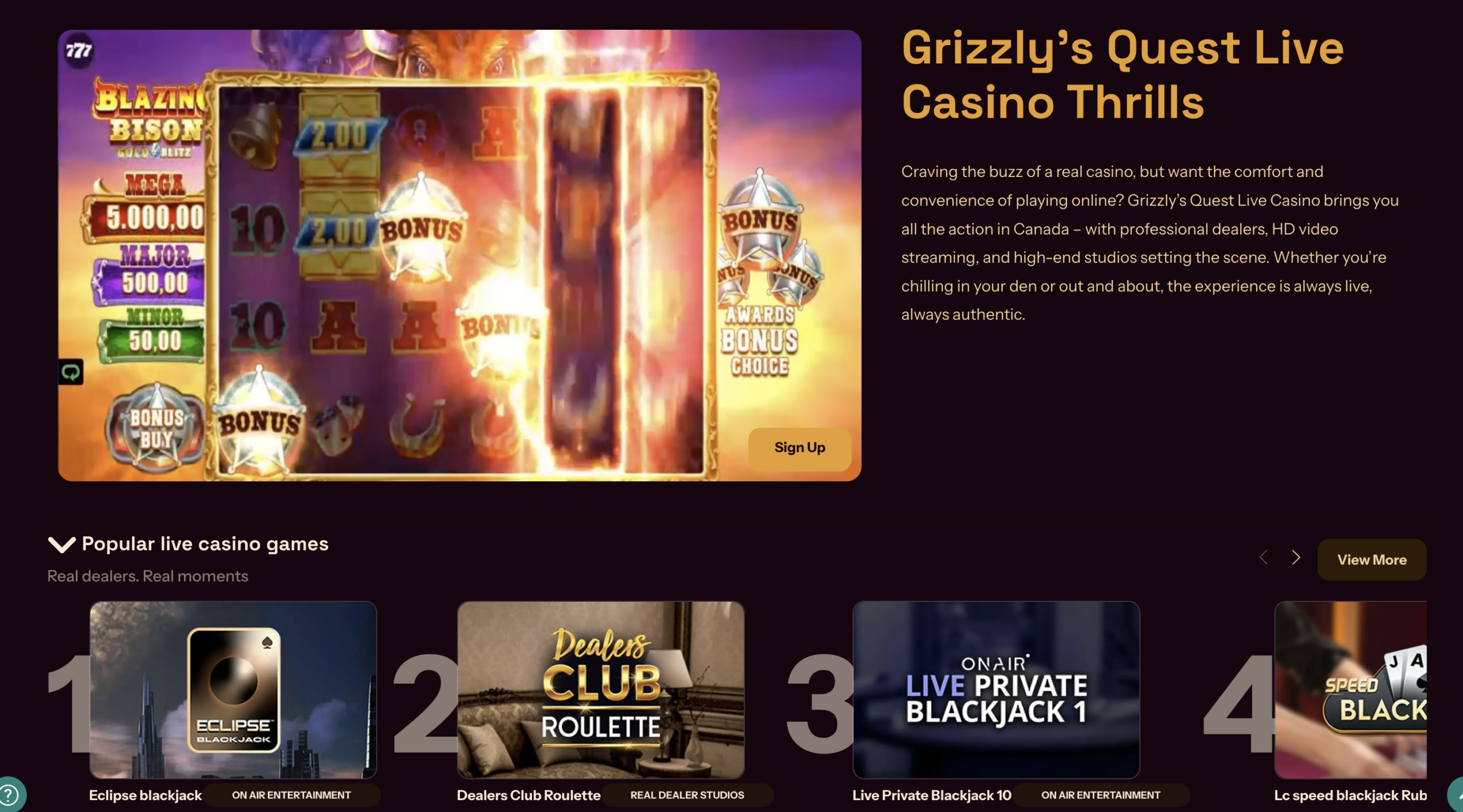 Grizzly's Quest lobby 3