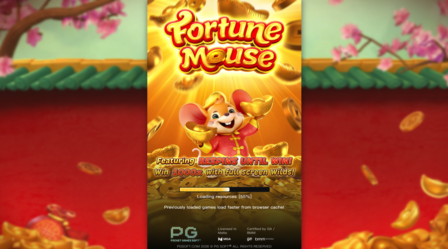 Fortune Mouse Slot features